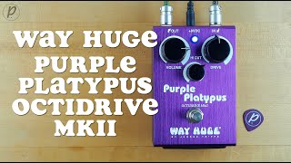 Video thumbnail for Way Huge Purple Platypus Octidrive MkII by Pedal of the Day