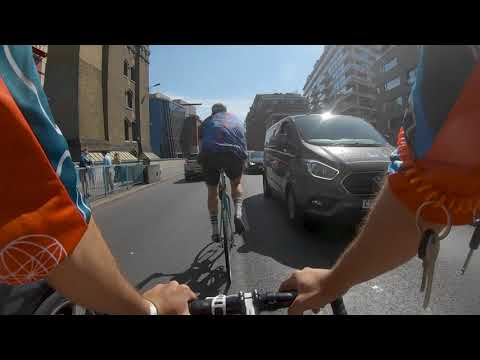 The Great Alleycat of London