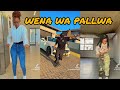 Best of [Wena wa pallwa] dance challenge