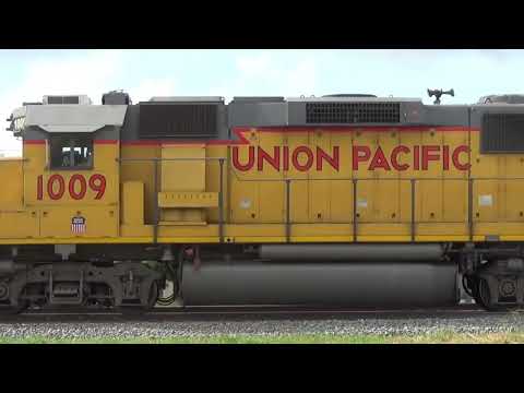 Railfanning in Sugerland tx 8/1/2025 ft. amtrak phase VII engine, ex-sp, and the glideen sub local