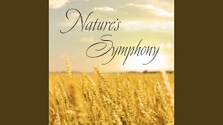 Nature's Symphony