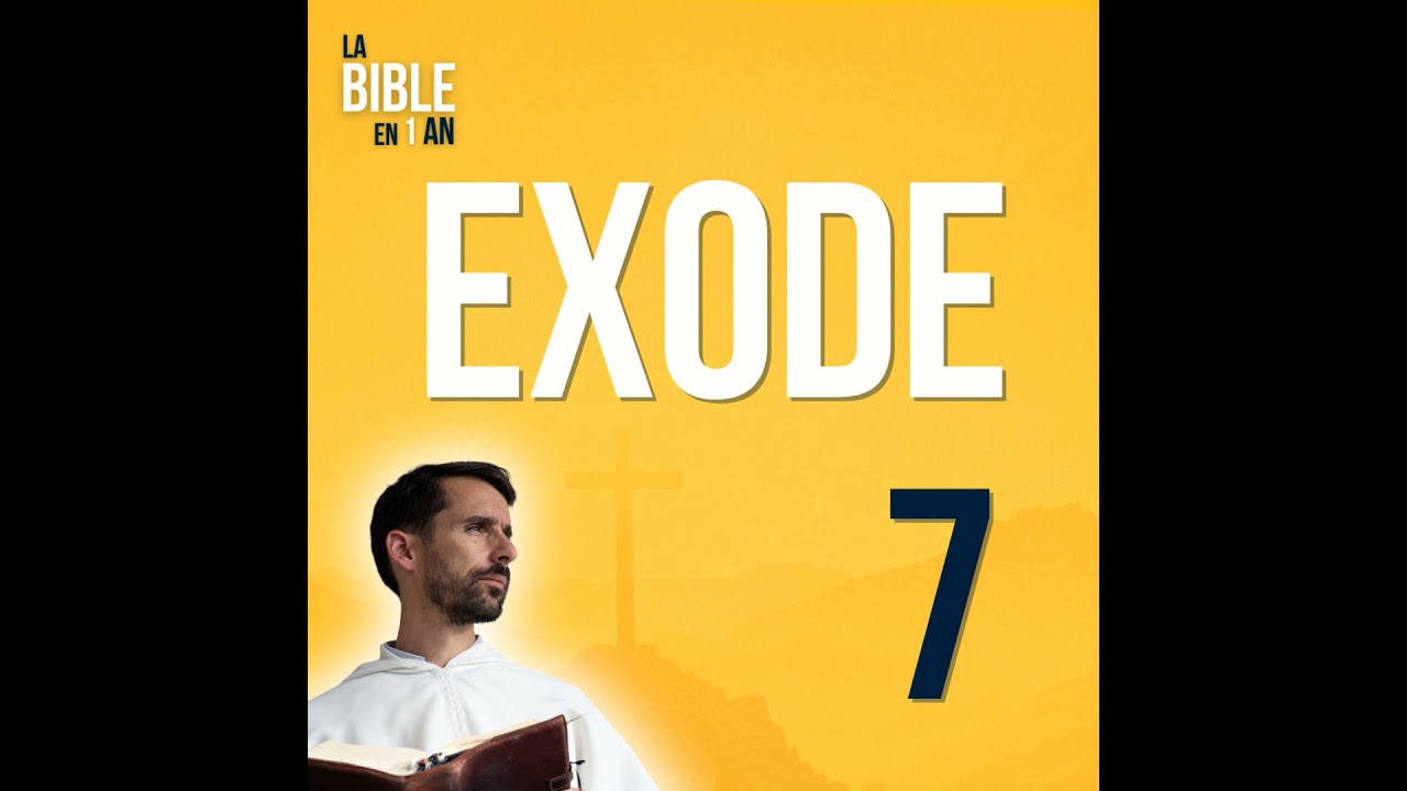 J29 - Le début des plaies d’Égypte - matin ☼