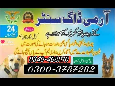 𝗔𝗿𝗺𝘆 𝗱𝗼𝗴 𝗰𝗲𝗻𝘁𝗲𝗿 𝗿𝗮𝗵𝗶𝗺 𝘆𝗮𝗿 𝗸𝗵𝗮𝗻 0346-6108015