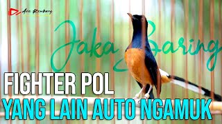 Download lagu MURAI FIGHTER SUDAH PASTI AKAN IKUT TARUNG DAN BONGKAR MATERI | SHAMA BIRD mp3 Download lagu MURAI FIGHTER SUDAH PASTI AKAN IKUT TARUNG DAN BONGKAR MATERI | SHAMA BIRD mp3