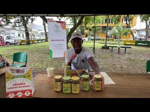 Expoambiente CHOCÓ Versión 2024 Region del San Juan (Municipio de Tadó).2024