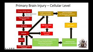 KNH-UoN Webinar : Management of Head Injury