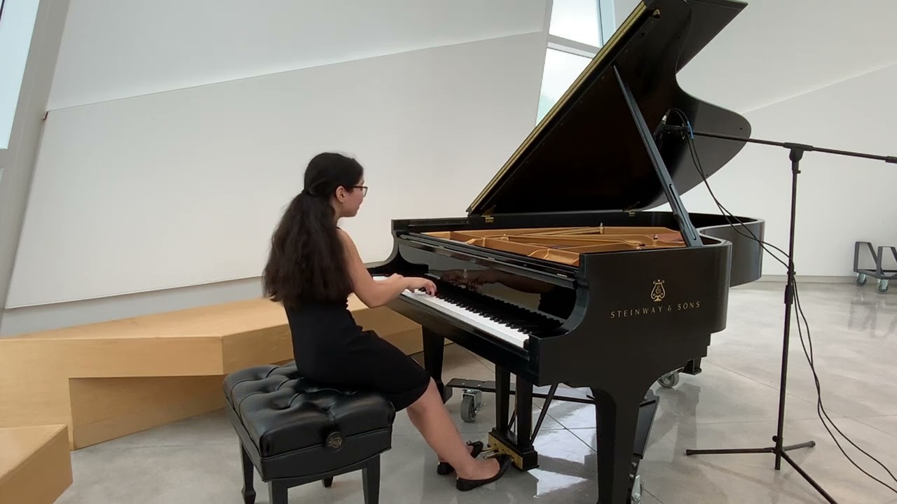Promotional video thumbnail 5 for Piano Performance, Accompany, Teaching