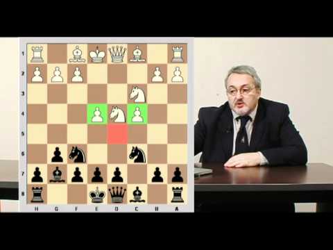 Videoscuola di Scacchi vol. 28