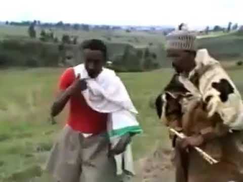 Ethiopian Comedy  Kibebew Geda
