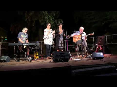 Bacciolo Borgatta Venegoni - Drive my car