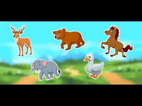 پاپیتا فارسی ( آموزش فارسی)