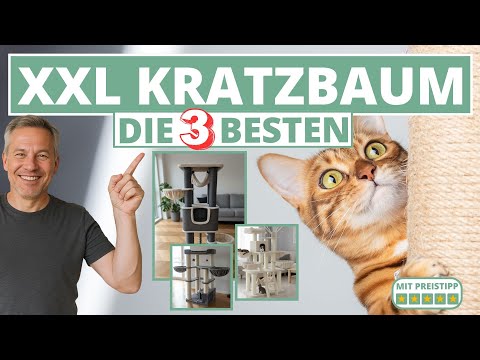 XXL Cat Scratching Post - The 3 Best