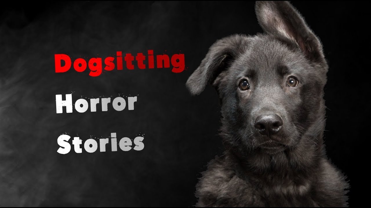 3 Scary True Dog Sitting Horror Stories