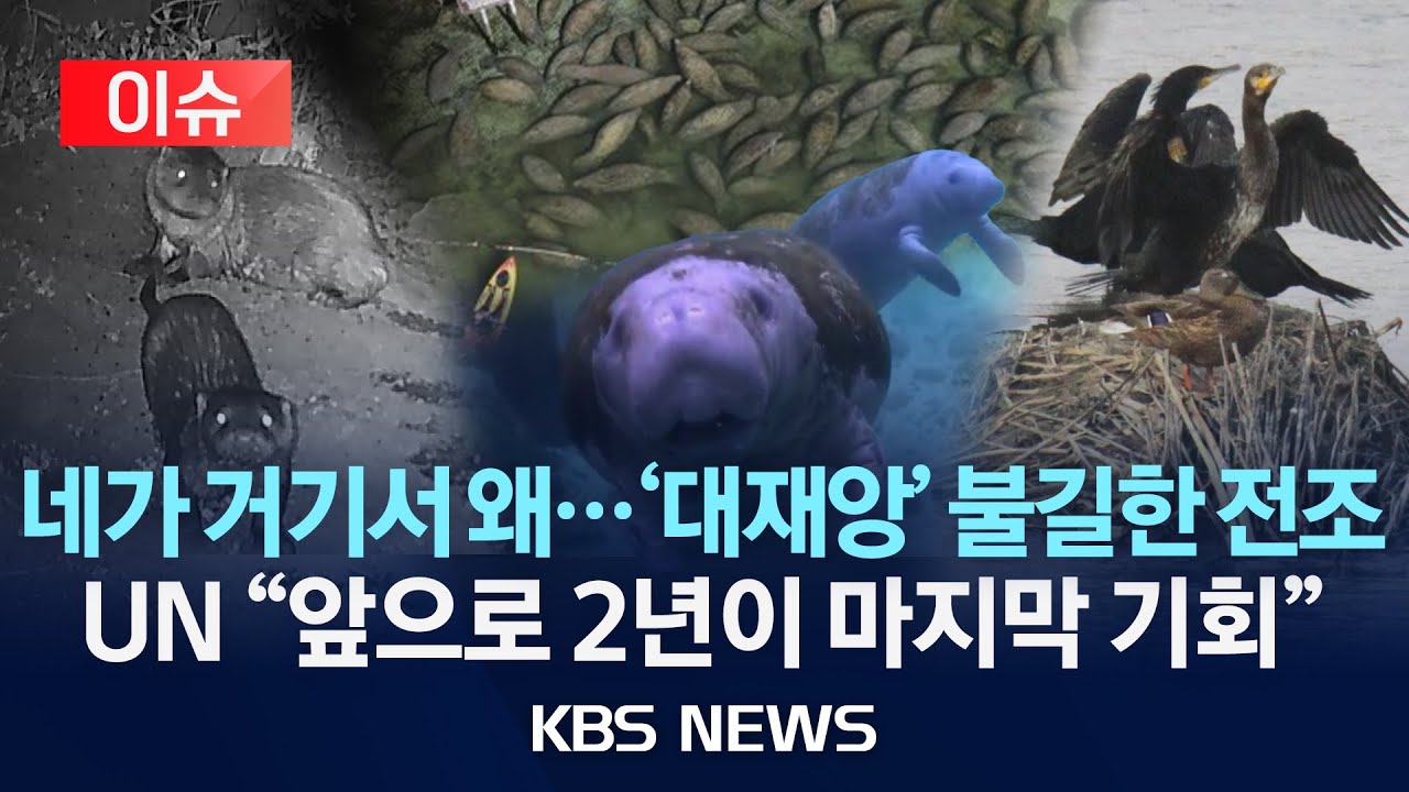 지구촌 생태지도가 바뀐다…'지구 대재앙'의 불길한 전조?/UN "지구 구할 시간, 앞으로 2년이 마지막 기회"
