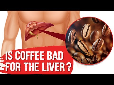 BILE What is BILE and Where is it Produced – Dr Berg