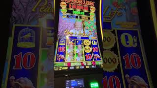 Dragon 🐉 Link slot 🎰action Carnival 🛳️#casino #funatsea #slotmachine #cruise