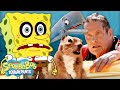Every Time A Character LEAVES The Water SpongeBob