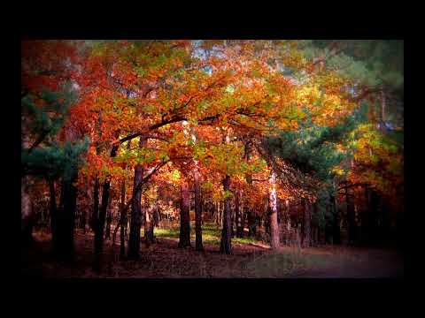 Wojciech Korda i Niebiesko Czarni   Na pagórkach ciszy 1971