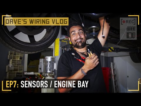 🎥 Ep7: Engine bay wiring - sensors, throttle body, fans and more | DAVE'S WIRING VLOG