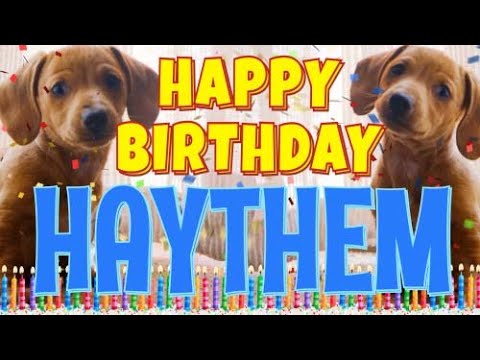 Happy Birthday Haythem! ( Funny Talking Dogs ) What Is Free On My Birthday