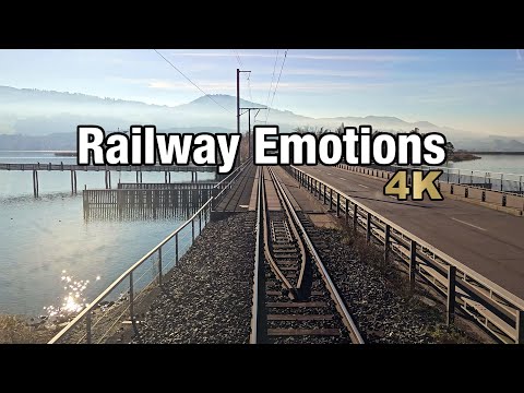 🚆 4K Führerstandsmitfahrt rund um den Kanton Zürich (Schweiz | S5 Zug - Pfäffikon SZ)