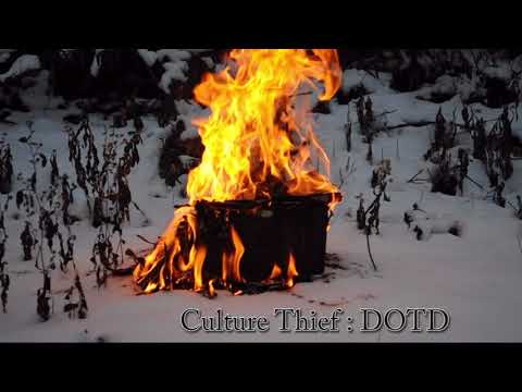 Culture Thief - DOTD