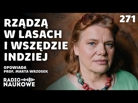 Grzyby – trują, leczą, odurzają, smakują i są wszędzie | prof. Marta Wrzosek