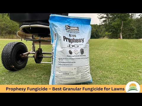 Prophesy Fungicide - Best granular fungicide for lawns ☀️ (S4E6)