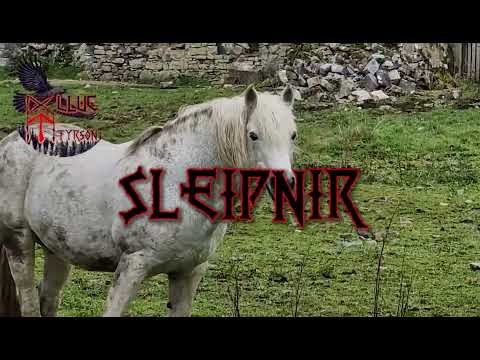Sleipnir – The Eight-Legged Steed of Odin | Nordic Pagan Folk