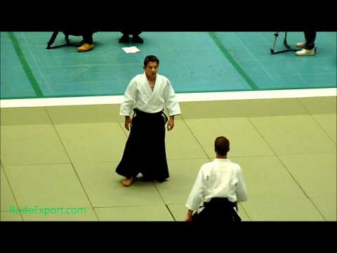 Yasuno Masatoshi Shihan - 49th All Japan Aikido (2011)