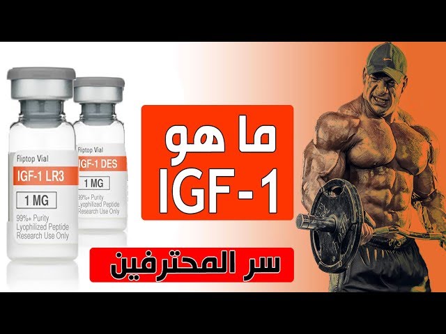 اي جي اف ون كرتون ٥ عبوات