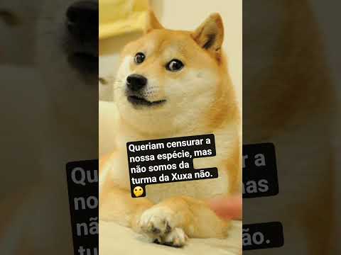 Natividade da Serra é dos cães e do povo. Au-au. 🤠