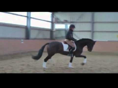 Den Haag : Diamond Hit X Florestan