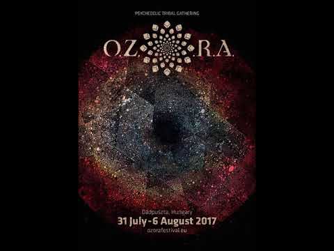 Gabriel Le Mar @ OZORA Festival (2017) Pumpui Stage