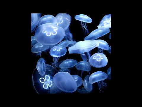 Luther x Sheldon Type Beat - Circles