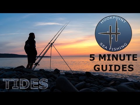 5 Minute Sea Angling Guides - Learn Everything You Need to Know About Tides for Shore Fishing