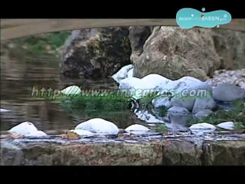 comment construire un bassin aquatique