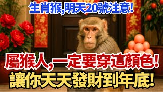 生肖猴注意！明天20號，農曆八月二十九，你穿這顏色衣服最招財！讓你天天發財到年底！#生肖猴 #財運 #招財 #轉運 #幸運顏色 #偏財運 #生肖運勢 #五行 #開運 #屬猴 #風水