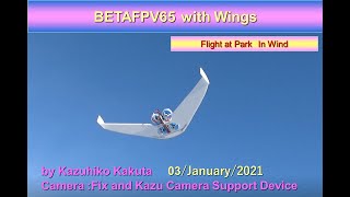 重さ35ｇの小さなFPV飛行機　垂直離陸可能　BETAFPV65 with Wings: Flight　at Park in Wind