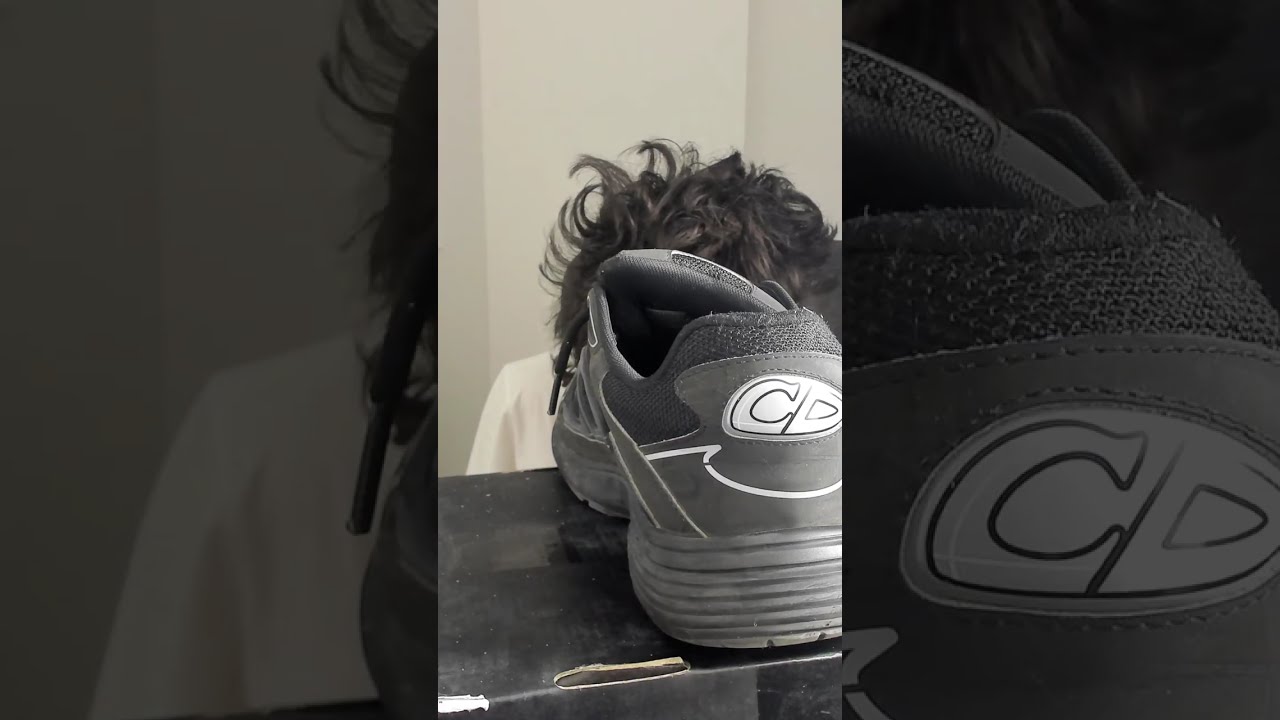 STEAL A BRAINROT GIVEAWAY LIVE | STEAL A BRAINROT FREE SECRETS + FREE BRAINROT GODS