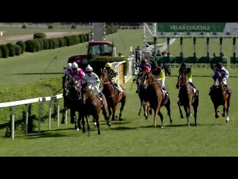 6. dostih - CENA PADDOCKU - Video záznam Velké květnové ceny 2018 v Chuchli