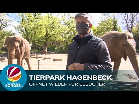 Hamburger Tierpark Hagenbeck wieder für Besucher geöffnet