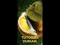 Durian Mon Thong en fruit entier video