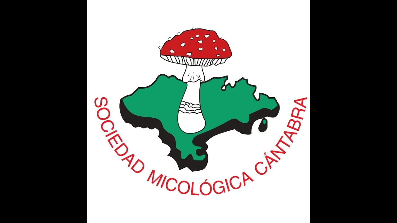 Canción SOMOS SOMICAN !