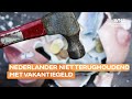 Nederlanders gaven vakantiegeld ondanks inflatie volop uit