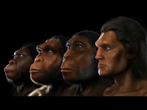 Human Evolution: Evidence of Our Ancestors - Science Documentary 2017