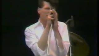Herman Brood and His Wild Romance - Sleepin&#39; bird - Live at PINK POP 1988