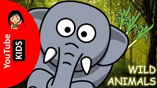 Learn Wild Animals Names and Sounds with Actual Pictures - YouTube Kids
