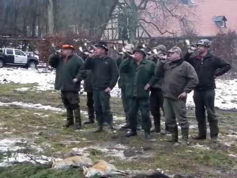 Battuta di caccia nella riserva Laubach-Solms - 1ª parte