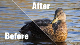 From RAW to Wow: Professional Photo Editing in Lightroom